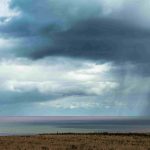 Steve Morantz - Rain at Bempton Cliffs