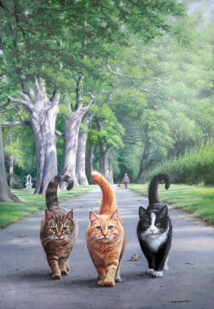 Dave Woolass - Cool Cats Pack