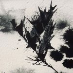 Ali Cargill - Plantscape
