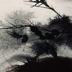 Ali Cargill - Windswept Ridge