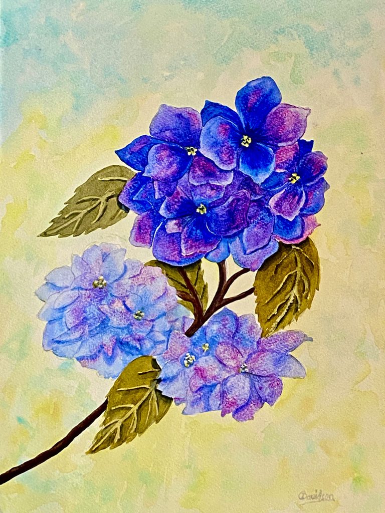 Carol Davidson - Hydrangea