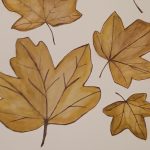 Colin Bickerdyke - Leaves