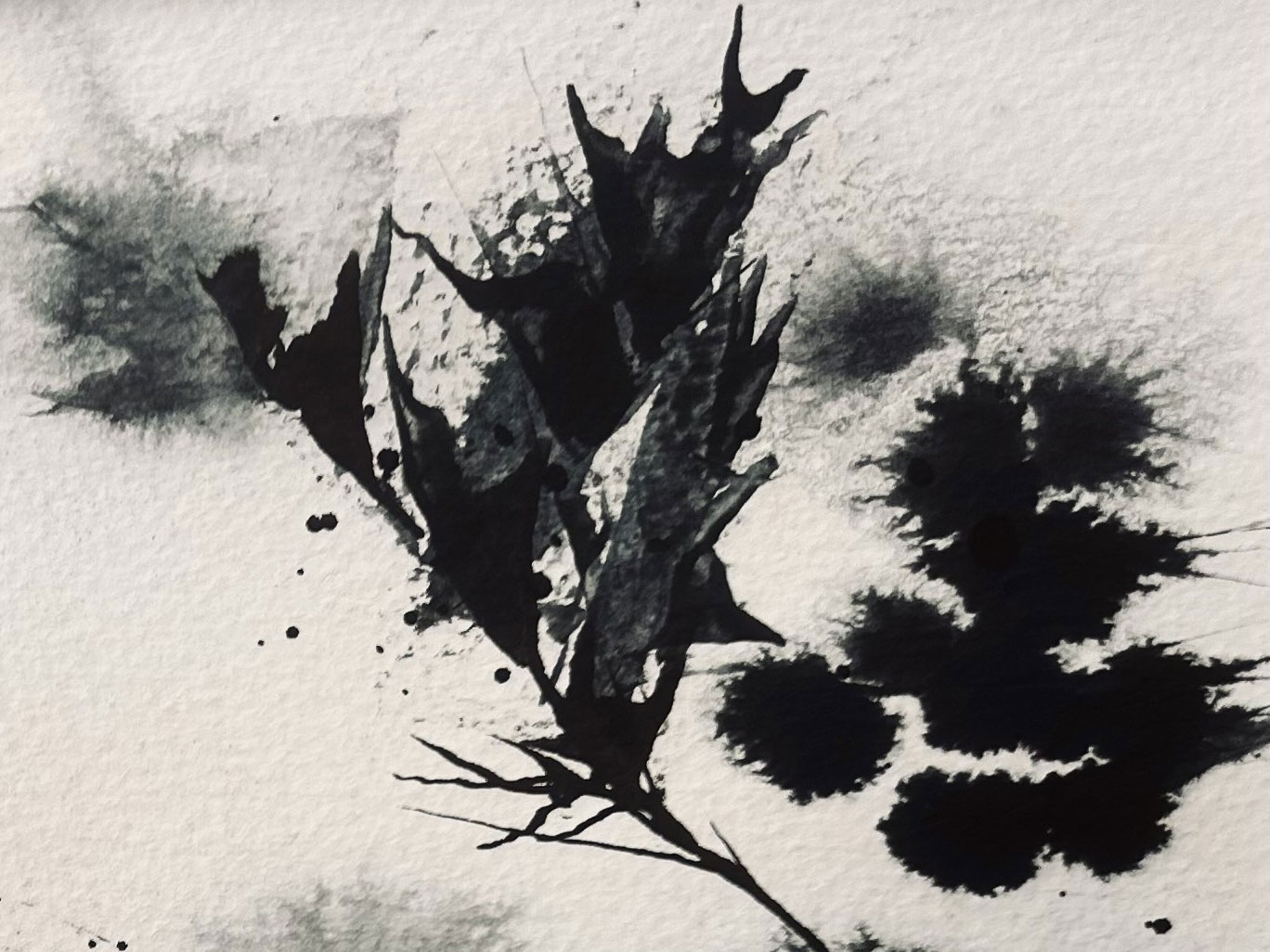 View the ERA Directory (Image by Ali Cargill)