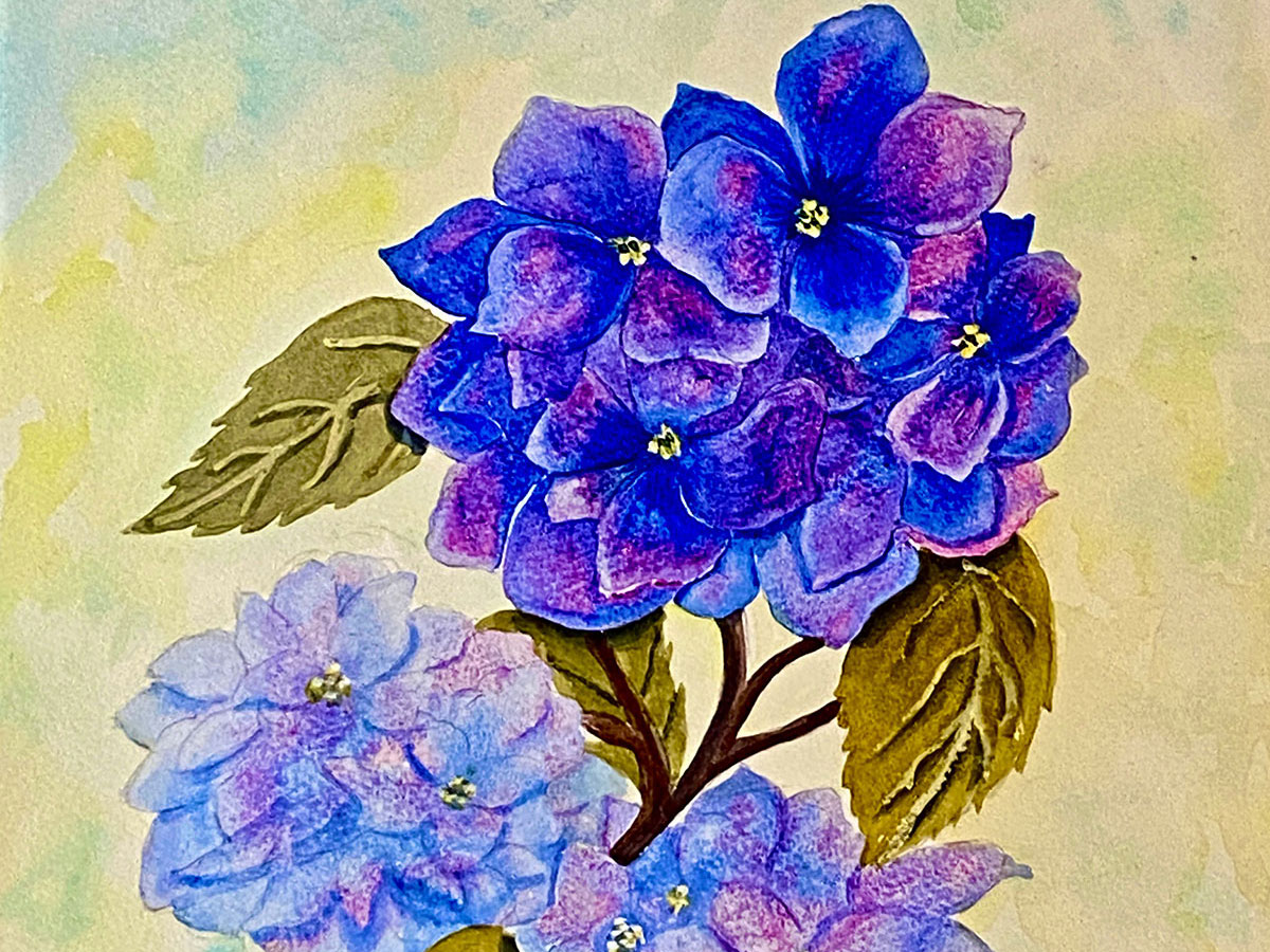 Carol Davidson