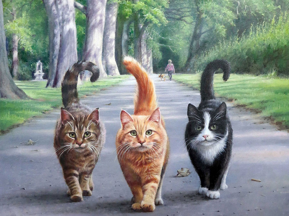 Dave Woolass - Cool Cats Pack