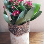 Lyn Grant - Better Planter