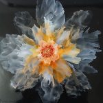 Shirley Stinchcombe - Orange Glow